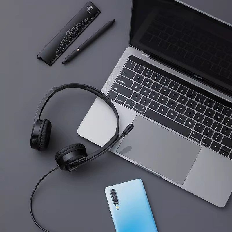 雷柏H100头戴式耳机耳麦电教学习电脑笔记本通用网课直播带麦克风,淘宝优惠券,粉丝福利购,淘宝优惠卷