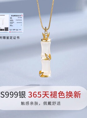 竹节s999纯银项链女款轻奢小众设计锁骨毛衣链情人节礼物送女友