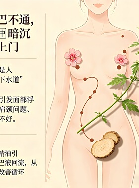 定制透骨草莪术颈部腋下副乳腹股沟腘窝腹部淋巴疏通经络植物精油