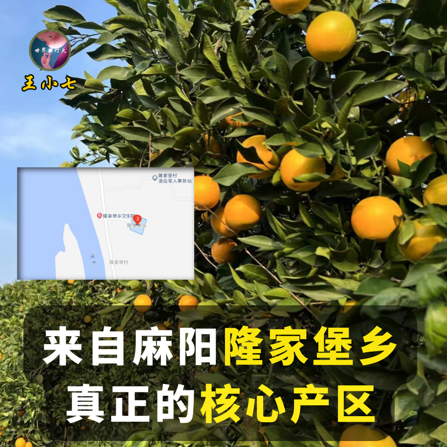 湖南麻阳冰糖橙特产香甜多汁正宗新鲜水果橙子整箱当季王小七甜橙,淘宝优惠券,粉丝福利购,淘宝优惠卷