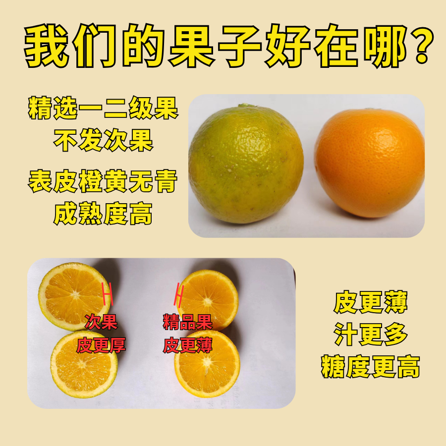 湖南麻阳冰糖橙特产香甜多汁正宗新鲜水果橙子整箱当季王小七甜橙,淘宝优惠券,粉丝福利购,淘宝优惠卷