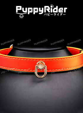 PUPPYRIDER亚文化暗黑温变项圈