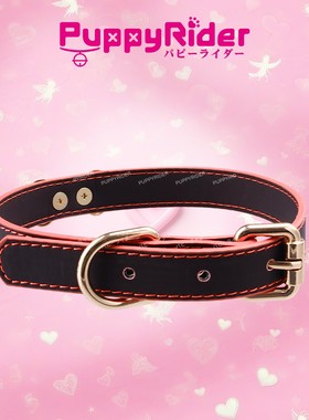 PUPPYRIDER温变骨牌小狗项圈