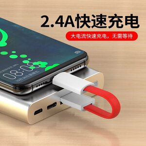 typec数据线2A短款11cm扁平用适用安卓苹果华为micro钥匙扣迷你便携短线背夹充电宝手电筒音响手机充电线通用