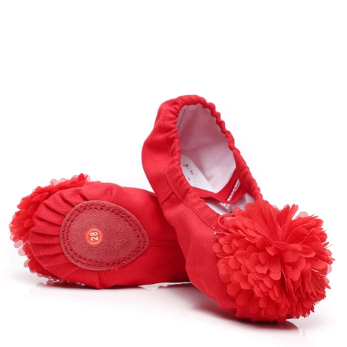 Туфли для детей и взрослых, спортивная обувь, балетки, мягкая подошва