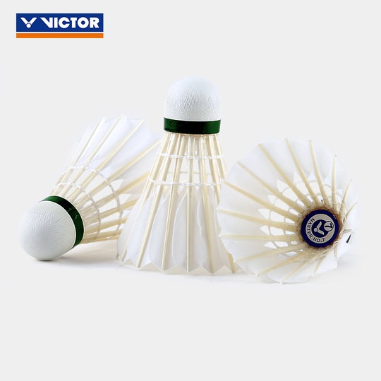 Víctor maestro de bádminton