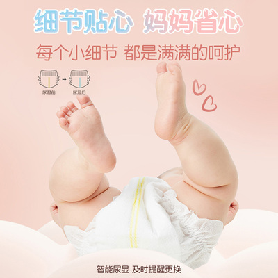 安儿乐芯柔时光小轻芯拉拉裤L-3XL码柔软超薄透气羊驼尿不湿新品