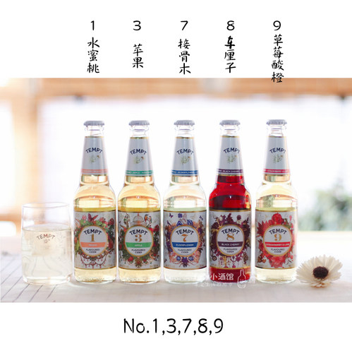 【活动价 赠品多】 tempt诱惑7号9号5号七号接骨木西打酒果味啤酒 - 图3