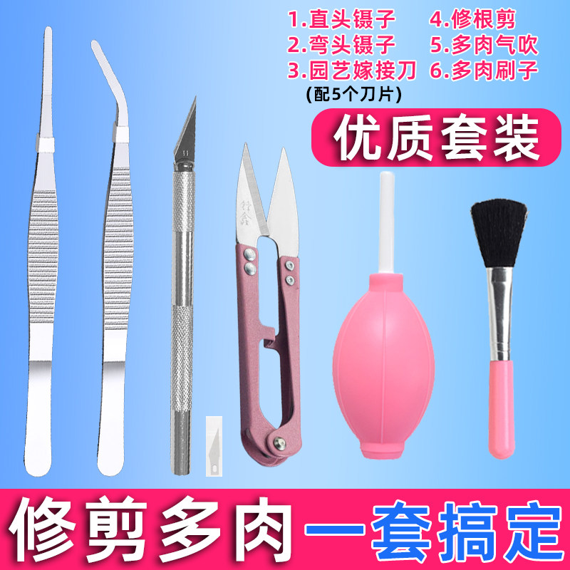 多肉工具套装专用植物园艺盆栽修根嫁接刀多肉砍头新手种植铲土杯,淘宝优惠券,粉丝福利购,淘宝优惠卷