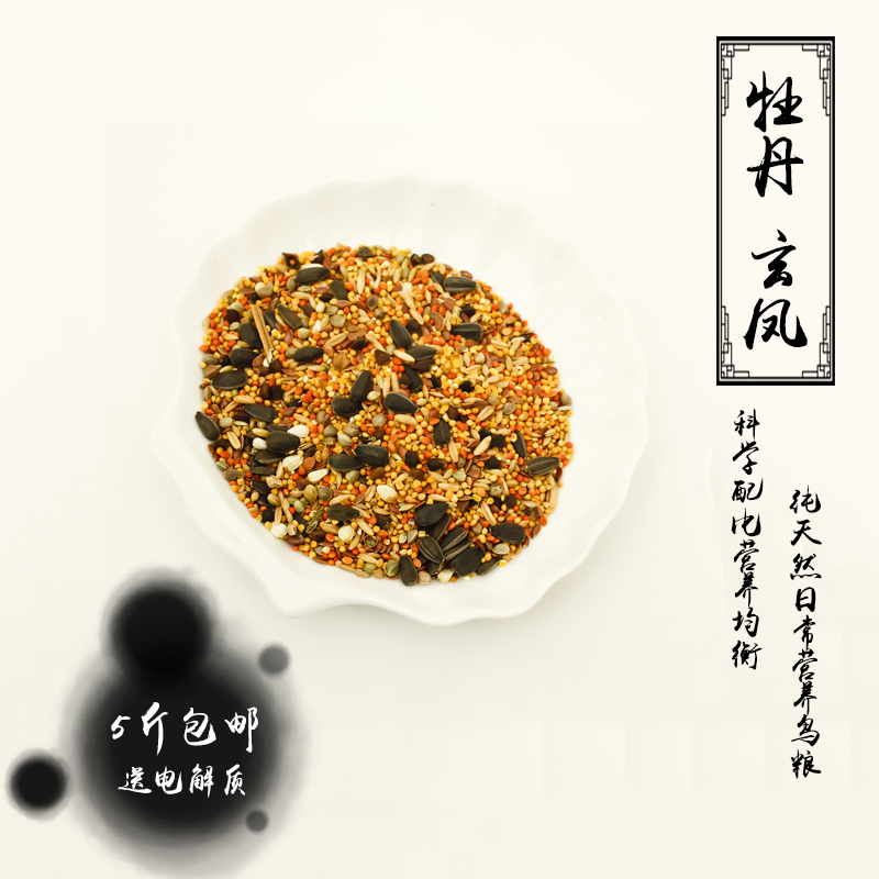 虎皮 牡丹 玄凤 云斑 鹦鹉鸟食鸟粮混合鹦鹉饲料  500g - 图0