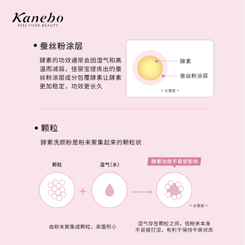 Kanebo嘉娜宝洗颜粉suisai日本酵素樱花限定版深层清洁去黑头正品 - 图2