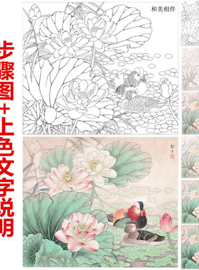 步骤图+上色说明工笔画白描底稿