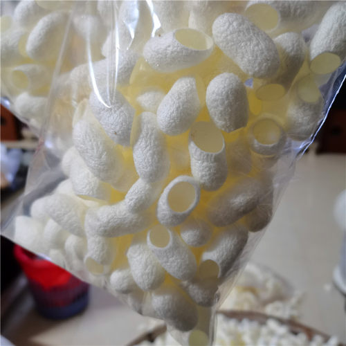未加工过的天然蚕茧开口茧壳洗脸指套入药泡茶抽丝茧球农家桑蚕茧 - 图1