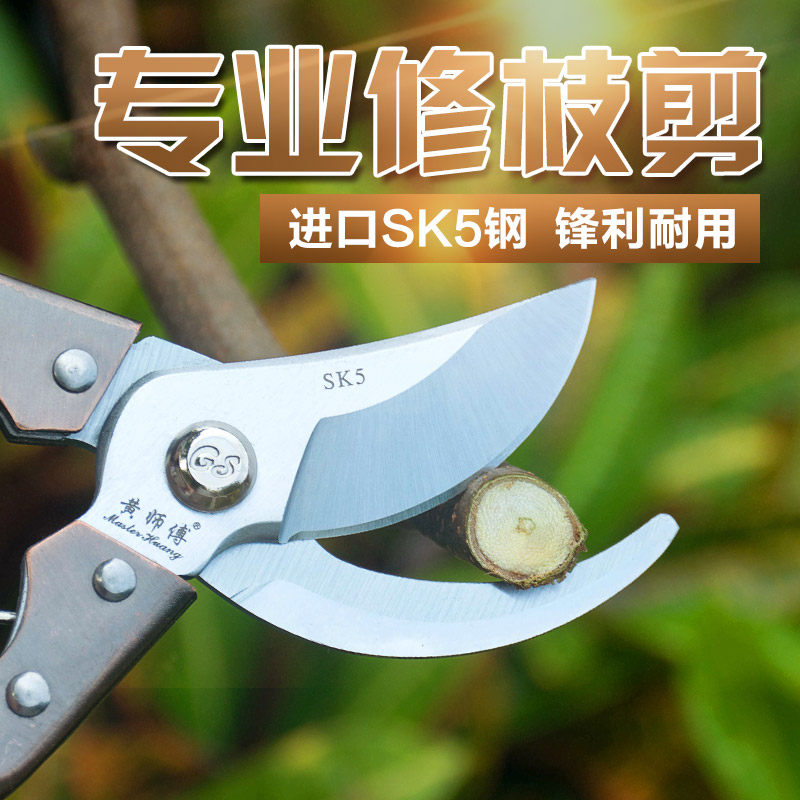 黄师傅园林园艺剪花枝剪修剪树枝剪刀果枝粗枝剪修花剪刀修枝剪刀_虎窝淘