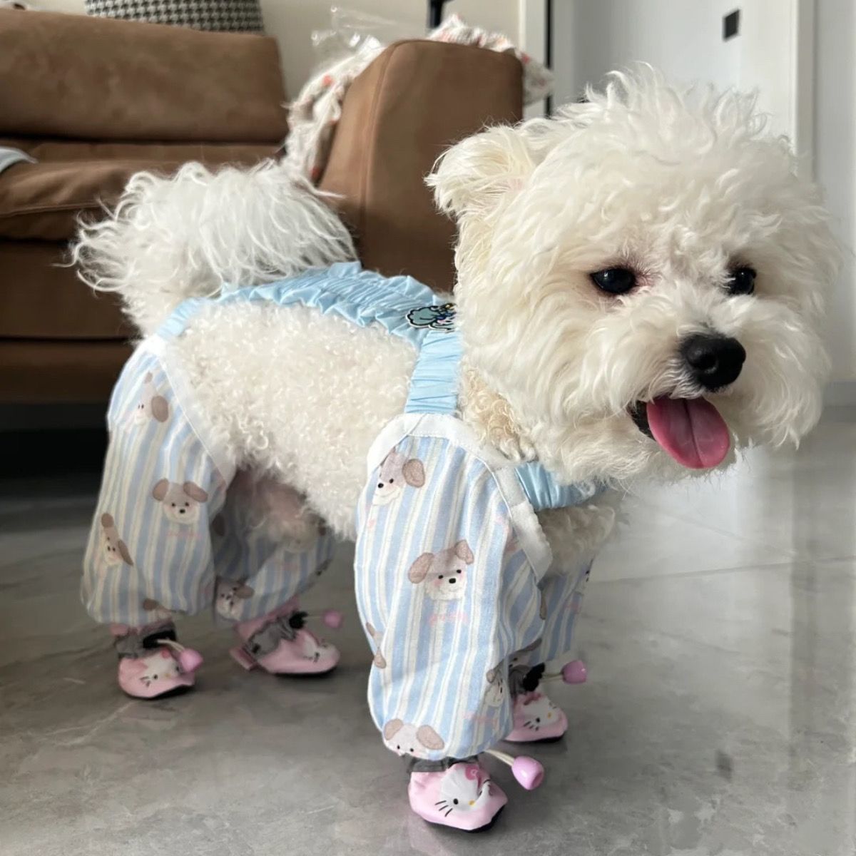 狗狗防尘裤遛弯裤春夏防脏防虫四脚裤含鞋子护腿小型犬四季衣服 - 图1