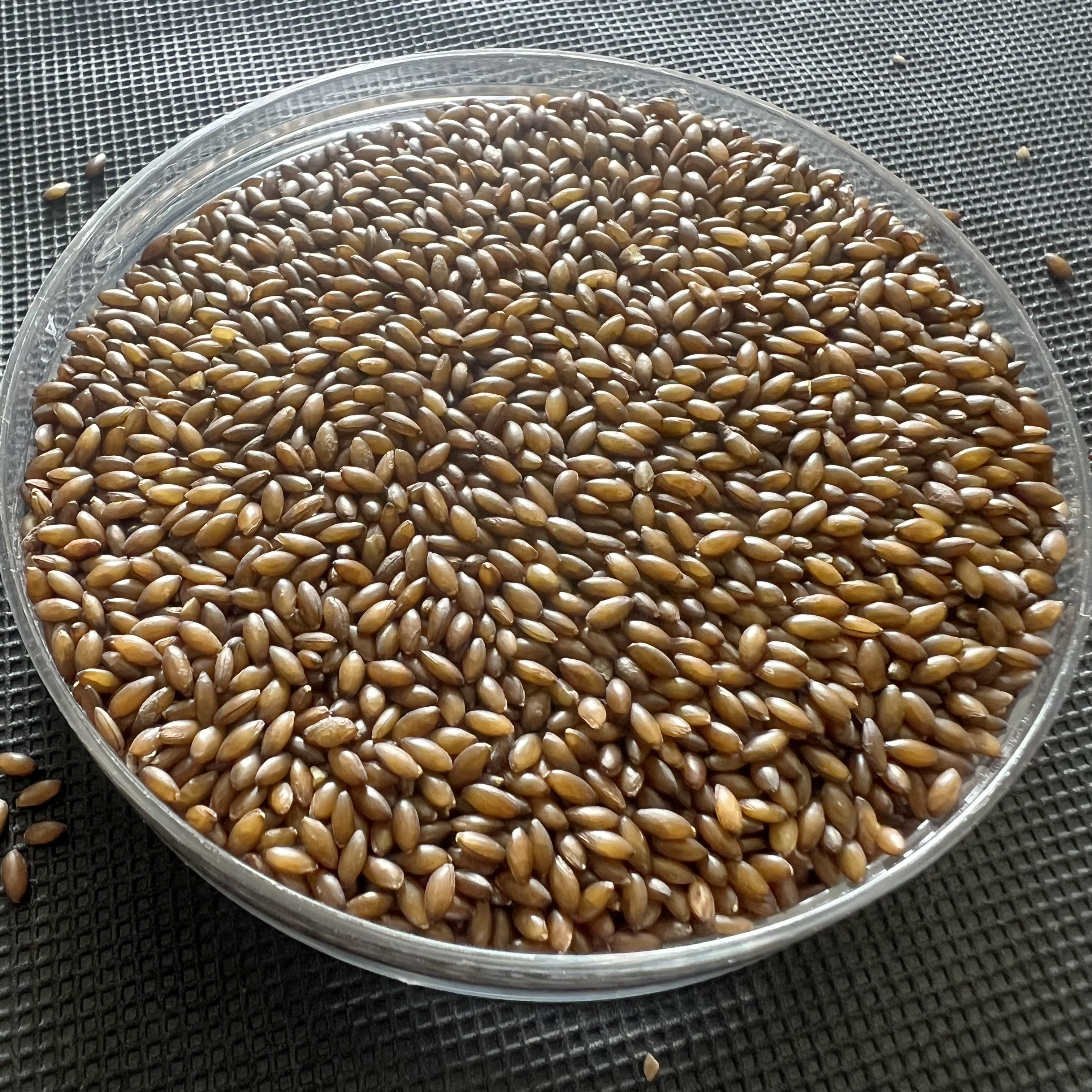 脱壳无壳粮加纳利子白尖鸟粮鸟食玄风牡丹虎皮鹦鹉文鸟玉鸟芙蓉,淘宝优惠券,粉丝福利购,淘宝优惠卷