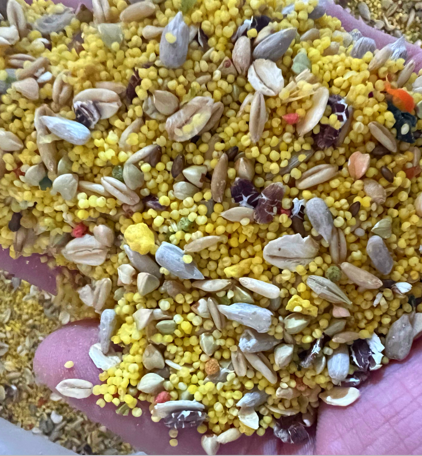 牡丹玄凤中小型无壳饲料去壳滋养丸混合鸟粮食真空谷子小米加纳,淘宝优惠券,粉丝福利购,淘宝优惠卷