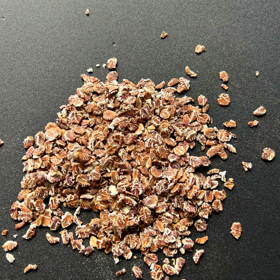 黑燕麦片鸟食鸟粮雀麦野麦燕麦仁虎皮鹦鹉牡丹玄凤鸟吃1斤,淘宝优惠券,粉丝福利购,淘宝优惠卷