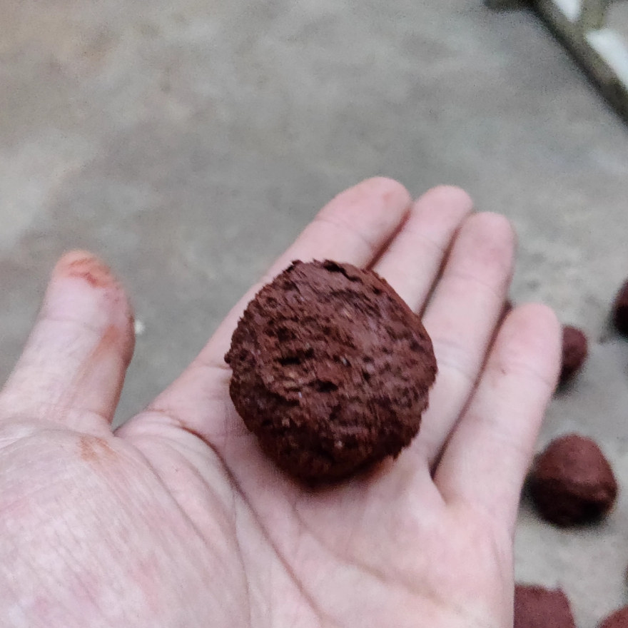 虎皮牡丹鹦鹉红土营养保健球保健沙促进繁殖微量元素矿物质维生素,淘宝优惠券,粉丝福利购,淘宝优惠卷