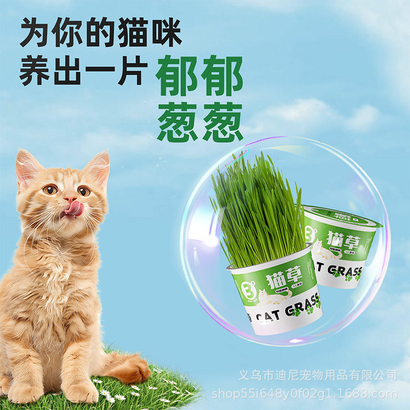 懒人猫草罐头水培无土去毛球助消化零食泡面猫草盆栽幼猫宠物零食,淘宝优惠券,粉丝福利购,淘宝优惠卷