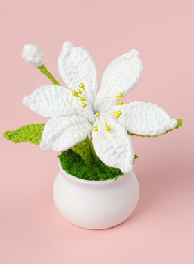 成品手工钩织火星兰仿真花盆栽精致清新女生礼物夜市摆摊摆件