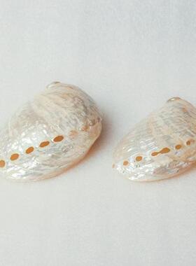 珠光鲍鱼壳荧光天然海螺贝壳