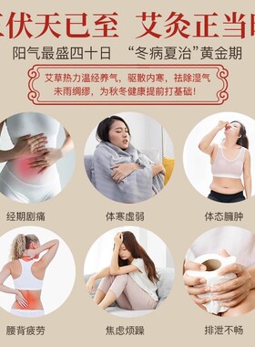 新型艾灸盒随身灸家用艾草艾灸罐