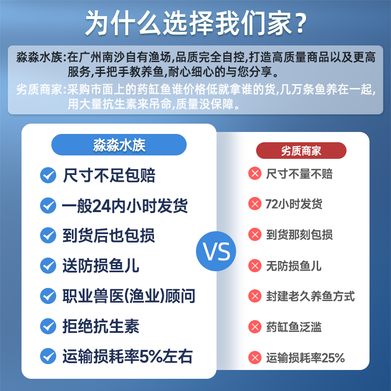 霓虹燕子鱼观赏热带鱼淡水小型鱼水草缸活体灯鱼灯科鱼珍珠燕子鱼 - 图1