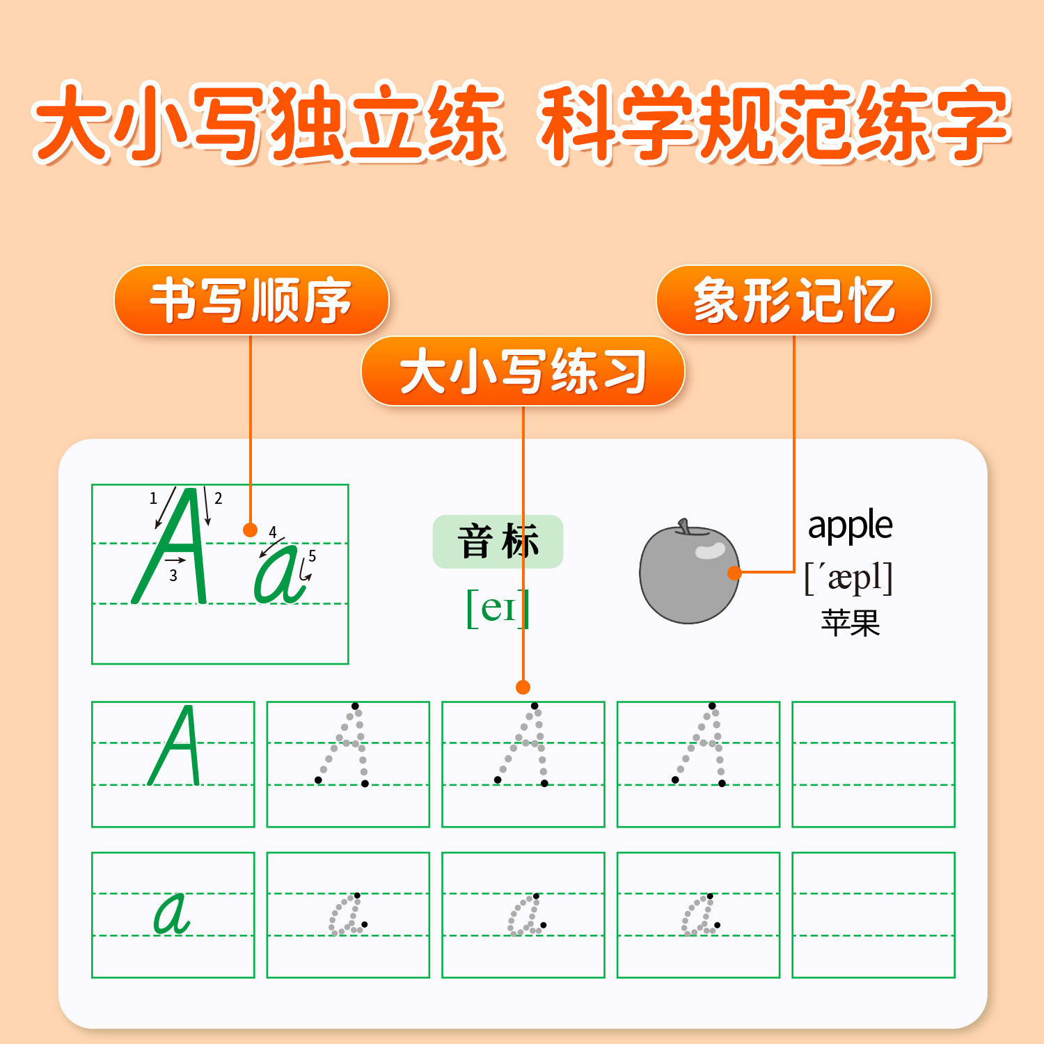 26个英文字母练字帖斜体练字本大小写临摹同步英语描红本三年级上下册字帖人教版每日一练入门自学零基础小学英语字母书写单词练习