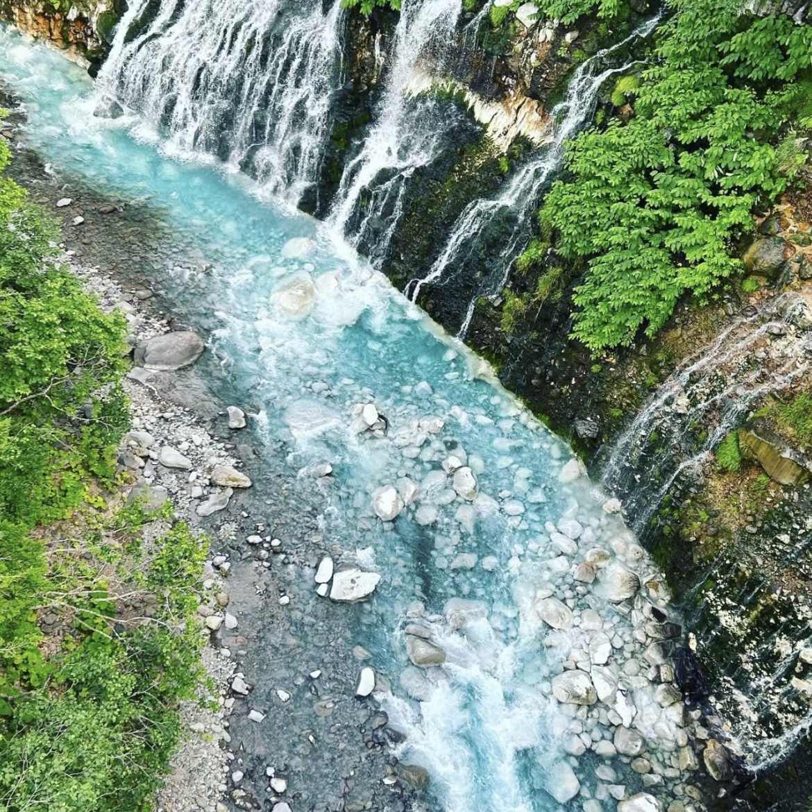 日本旅游北海道花海季札幌小樽富良野美瑛5天4晚私家团日本跟团游-图3