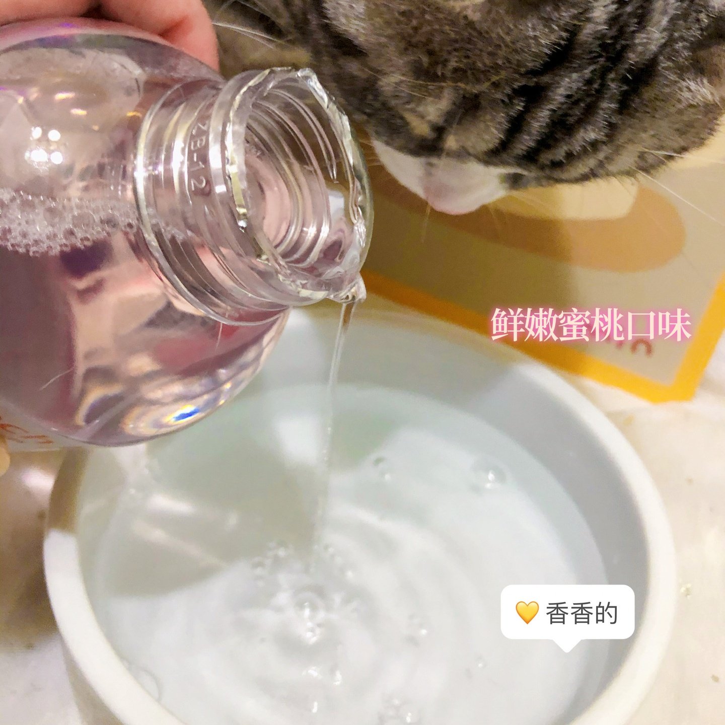 来旺兄弟宠物漱口水狗狗防牙结石猫咪口腔清洁除口臭口腔护理,淘宝优惠券,粉丝福利购,淘宝优惠卷