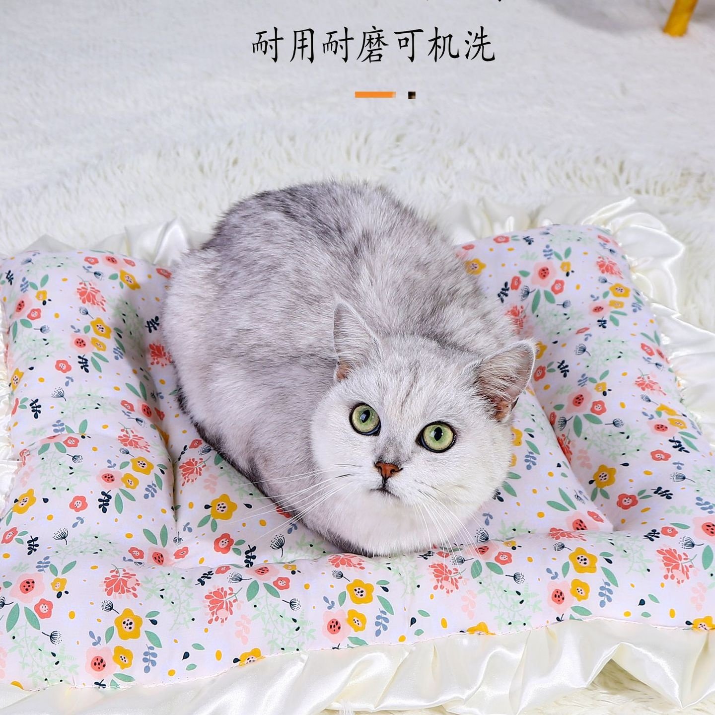 四季通用狗窝地垫狗狗垫子猫窝睡垫猫咪垫睡觉用宠物用品冬,淘宝优惠券,粉丝福利购,淘宝优惠卷