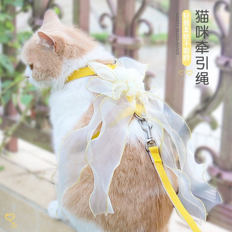 猫咪牵引绳防挣脱遛猫绳可伸缩可爱猫背带狗绳猫咪宠物胸背,淘宝优惠券,粉丝福利购,淘宝优惠卷