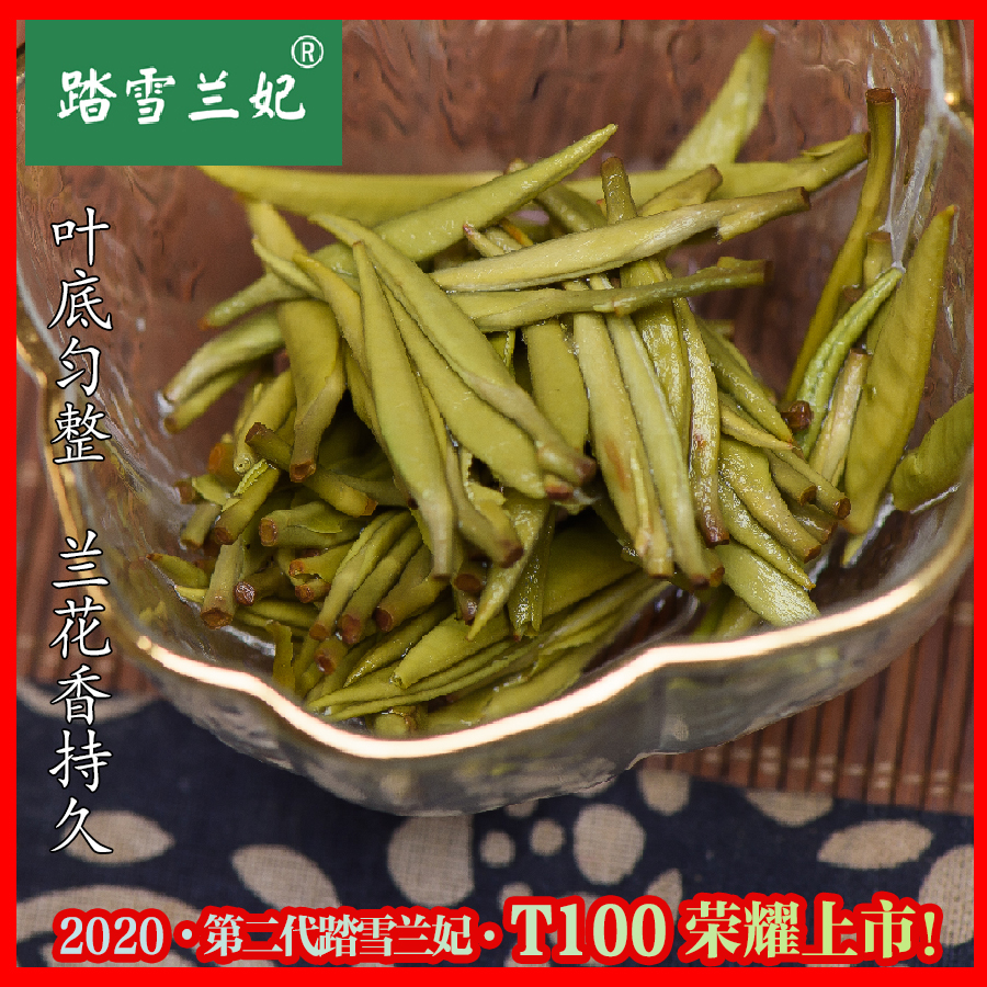 踏雪兰妃黄茶2023茶叶正品碧雪兰妃T100特级健康兰香型新茶100克