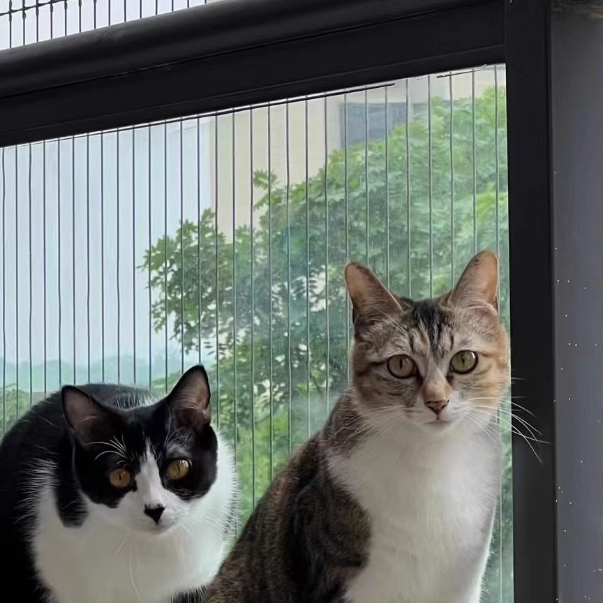 成都儿童隐形防护网阳台不锈钢防盗网高层窗户儿童防坠网同城安装,淘宝优惠券,粉丝福利购,淘宝优惠卷