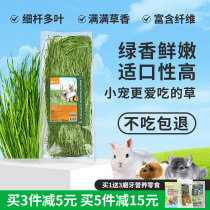 Jolly Zolly drying up TiMoses grass hay Grass Tender Grass Rabbit Eating Grass Rabbit Food Grass Dutch Pig Dragon Cat Grain Grass