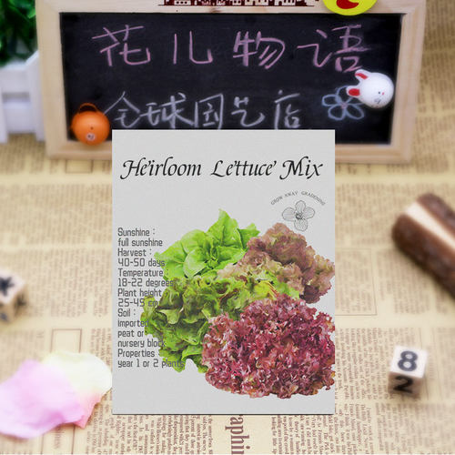 混合生菜种子酥脆浓郁阳台专用传家宝新鲜沙拉即食家庭四季易种 - 图1
