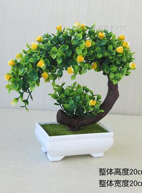 家居小饰品客厅卧室盆栽植物桌面