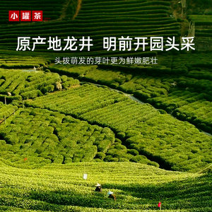 【新品春茶】小罐茶银罐绿茶2026新茶特级龙井茶茶叶15罐礼盒装