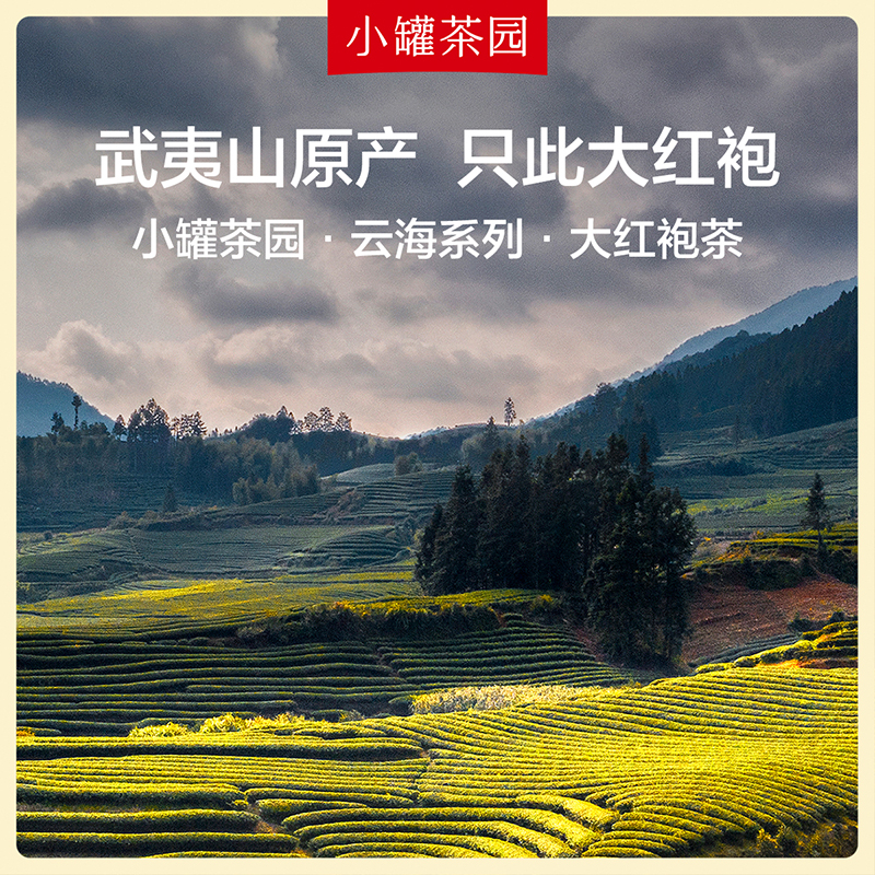 小罐茶园云海系列特级大红袍茶叶乌龙茶大罐装150g自己喝官方