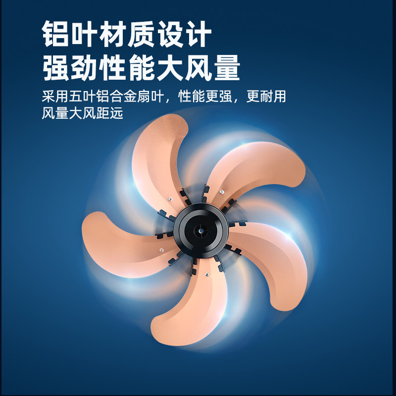  美菱亿彩电风扇