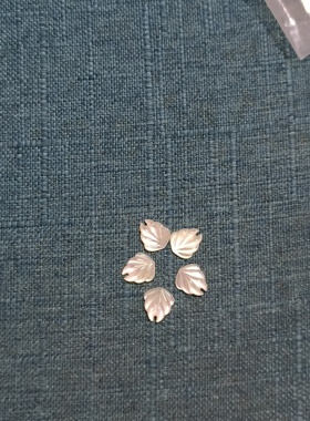贝壳针夏日沙滩贝壳耳环女轻奢高级感度假风耳圈小众时尚耳饰定制