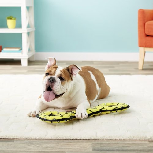 美国tuffy狗狗软玩具兔子飞碟龙虾八爪鱼骨头拔河棒耐咬互动巡回 - 图3