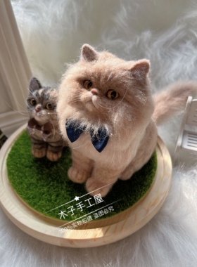 羊毛毡戳戳乐全身定制宠物猫猫狗狗微景观摆件永生纪念送礼物