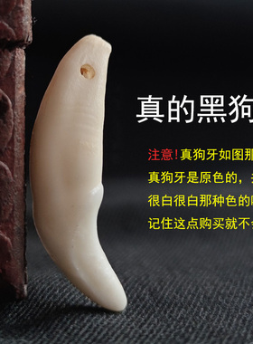 黑狗牙红绳朱砂婴儿宝宝手链蛇年