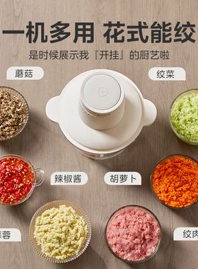 美的绞肉机家用打蒜切菜单双档