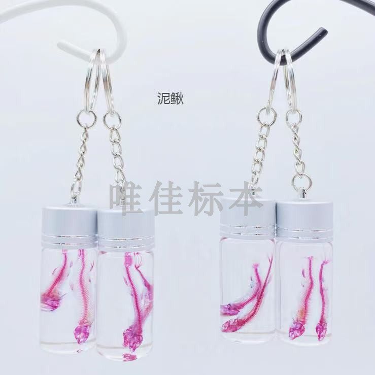 染色骨骼透明标本鱼类哺乳爬行类动物模型教学展览展示装饰双重,淘宝优惠券,粉丝福利购,淘宝优惠卷