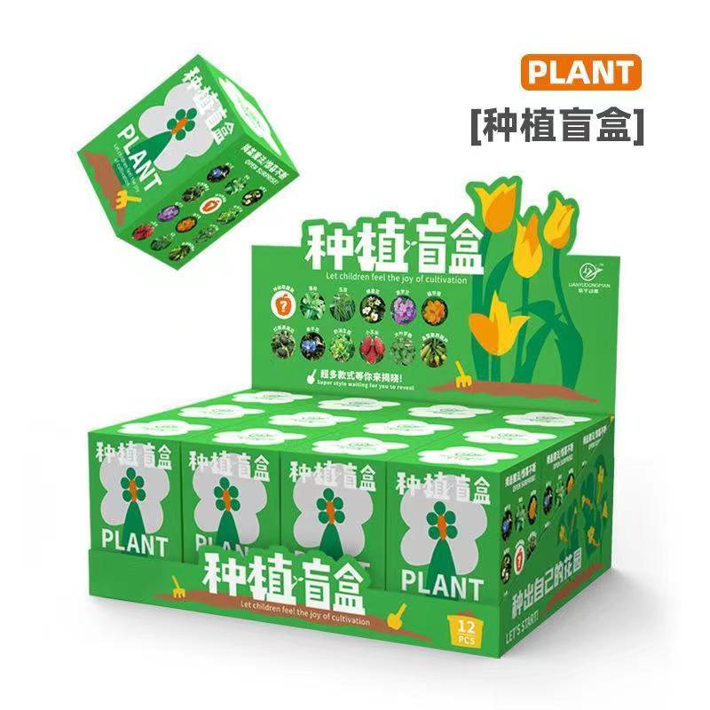 儿童种植小盆栽幼儿园观察植物生长种子发芽迷你小学生自种创意 - 图2