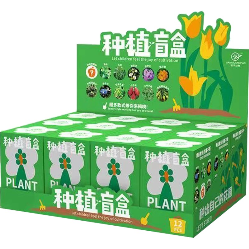 儿童种植小盆栽幼儿园观察植物生长种子发芽迷你小学生自种创意 - 图3