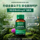 Thompson 480mg thistle ້ໍານົມເພື່ອນອນເດິກແລະປິ່ນປົວ hangover